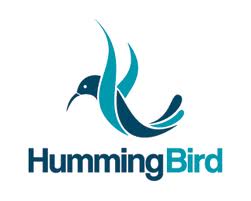 Does Hummingbird Update Impact Your Ranking And Traffic? Google Says No.