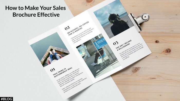 How to Make an Effective Sales Brochure?