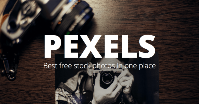 royalty free stock images