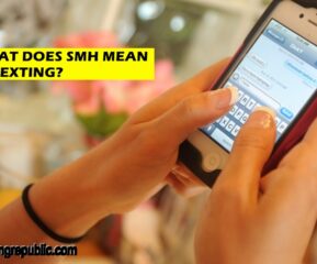 What is the meaning of SMH, and how can you use it?