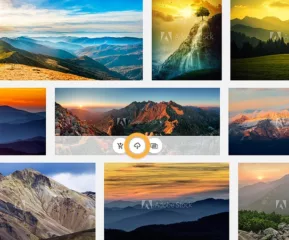 Why Adobe Stock (Images) is a Must-Have for Your Creative Workflow